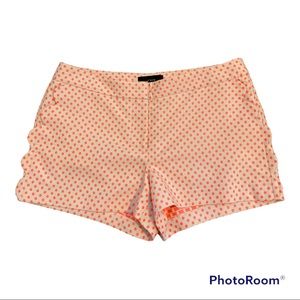 J Crew Scallop Pocket Polka Dot Shorts Sz 10